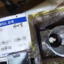 연일자동차공업사 이미지