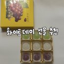 화이트와인스토어 | [네이버 스토어]구술사탕 와인|알코올 함류 사탕 asmr 후기, 특별한 화이트데이 선물로 추천