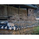 마곡사2 이미지