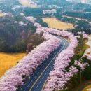 효경노인복지원 이미지