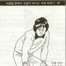 냥 이미지