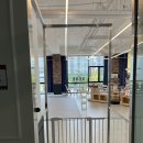 도그베이 동탄호수공원점 | 실내 애견 카페, 도그베이 동탄호수공원점 내돈내산 찐 후기