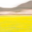 봄날의 햇살 이미지