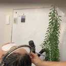 오쏘헤어&컬러앤하우스 청라점