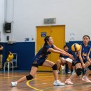 Dalat's sports season kicked off with the Island Volleyball Tournament 이미지