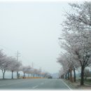 예산-08 이미지