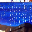 별헤는 다리 이미지