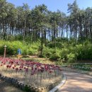 명동어린이공원 화장실 이미지