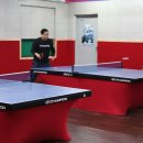 개방탁구 이미지