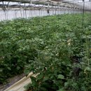 부농농장 이미지