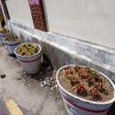 신평1동-6 이미지