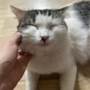 요즘 저 바빠요 하여튼 8월일상 시작