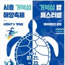 엠티브이21로 이미지