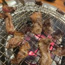 불타는갈매기 이미지