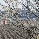 매화공업사