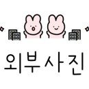 엠티브이13로 이미지