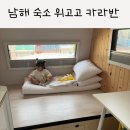 위고고남해 | [남해여행] 남해 숙소 위고고 카라반 아기랑 솔직후기