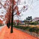 한남대학교 자연사박물관 이미지