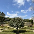 정원 | 익산 아가페 정원 후기 입장료 예약 방법 산책 코스