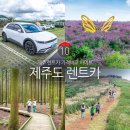 초원카 | 제주도 렌트카 비용 제주 렌트카 완전자차 후기