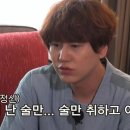 술희야