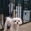 오도독뽀도독 이미지