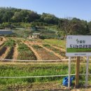 산울림농장 이미지