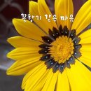 꽃향기 이미지