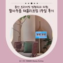 올채 | 청담연예인피부과 채올리프팅 전후 팔자라인 변화 후기 1탄