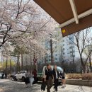 미쉐린베이커리 | [연남] 연트럴파크 벚꽃뷰 맛집🌸 "스프링베이커리" 내돈내산 후기