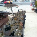 목련주유소 이미지