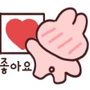 아니모데이 이미지