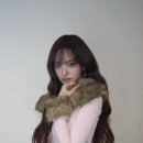 리즈컬러 이미지