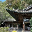 수원 근교 분당 성남한옥카페 ‘새소리물소리’ 메뉴 가격 분위기 후기