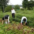 왕림농장 이미지