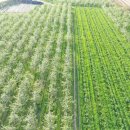 하늘농장2 이미지