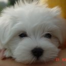 (주)말티 이미지