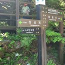 지리산 노고단-반야봉-연곡사(260530/산사랑) 이미지