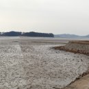 근흥면사무소 이미지