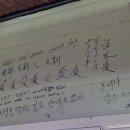 병호돌장어