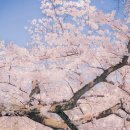 화도세탁소 이미지