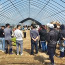 시흥농장 이미지