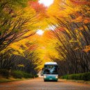 GS25 천안해밀점 | 천안 당일치기 버스투어: GS25와 함께 단풍&amp;빵지순례!