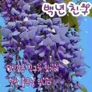 2024년도 8월 30일(금요일)아톰여행클럽산악회 출석부 이미지