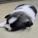 남지카공업사 이미지