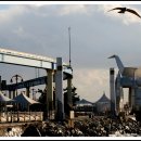 월미도 선착장 이미지