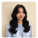 모엘헤어 이미지