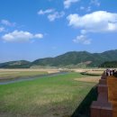 갈대이야기 이미지