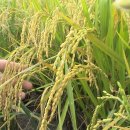 (주)썬그린 이미지