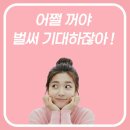 조이디 | 프로포즈 이벤트 업체에서도 우리를 추천해요^^